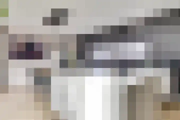 Waterwijk 5 Eindhoven thumbnail 10