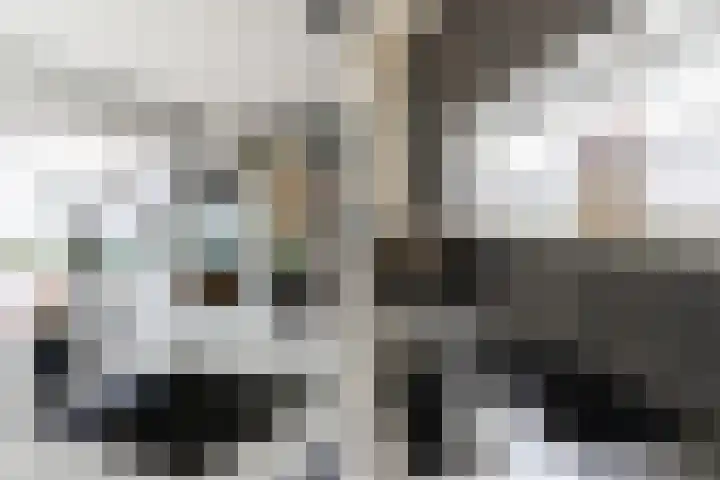 Waterwijk 5 Eindhoven thumbnail 13