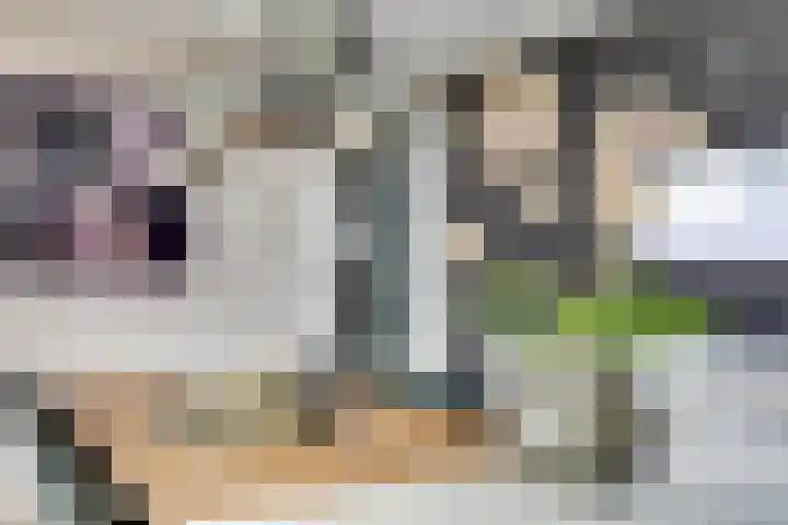 Waterwijk 5 Eindhoven thumbnail 14