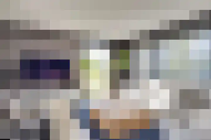 Waterwijk 5 Eindhoven thumbnail 19