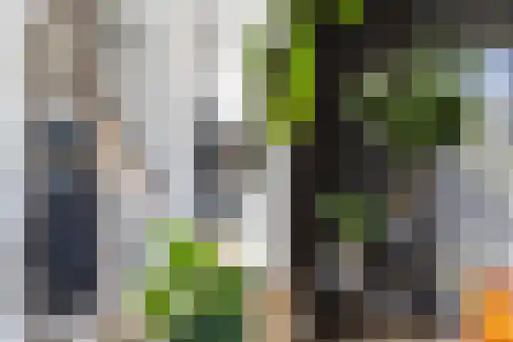 Waterwijk 5 Eindhoven thumbnail 21