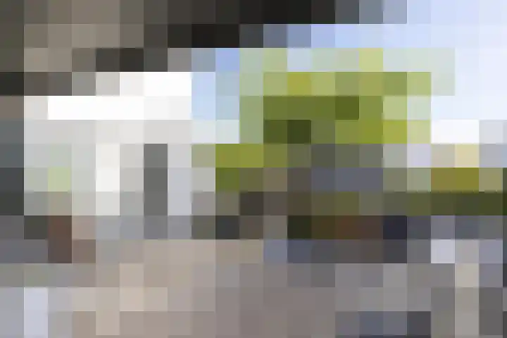 Waterwijk 5 Eindhoven thumbnail 27