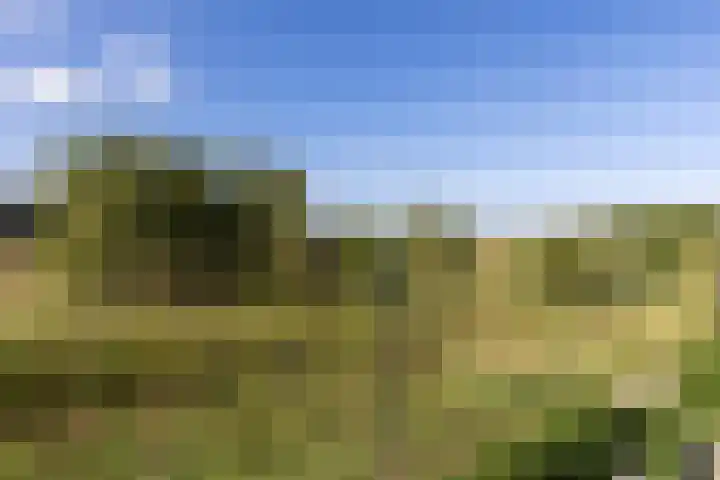 Waterwijk 5 Eindhoven thumbnail 43