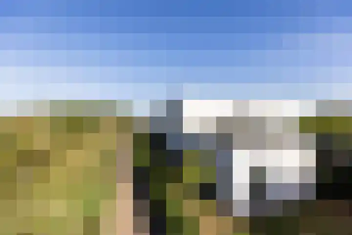 Waterwijk 5 Eindhoven thumbnail 47