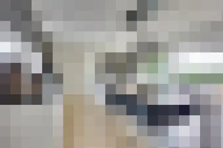 Waterwijk 5 Eindhoven thumbnail 8