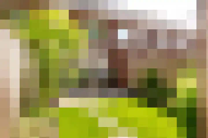 Waterwijzer 112 Lelystad thumbnail 33