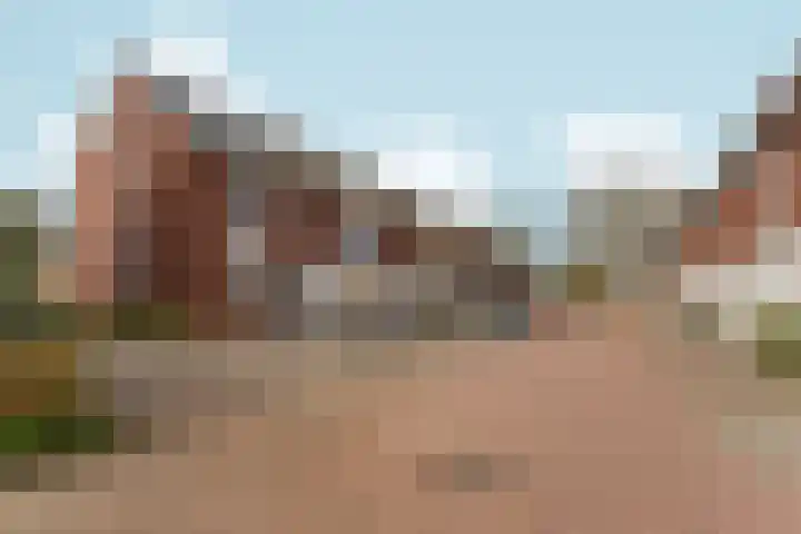 Waterwijzer 118 Lelystad thumbnail 8