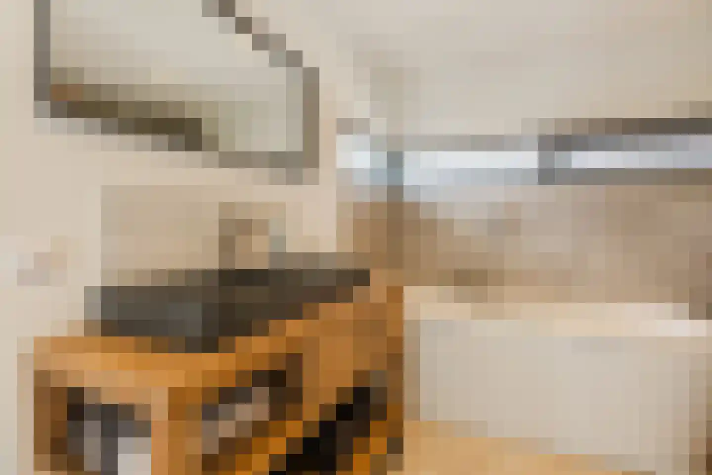 Waterwilg 8 Zevenbergen thumbnail 26