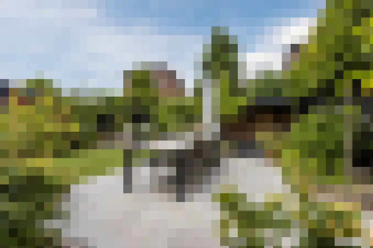 Waterwilg 8 Zevenbergen thumbnail 42