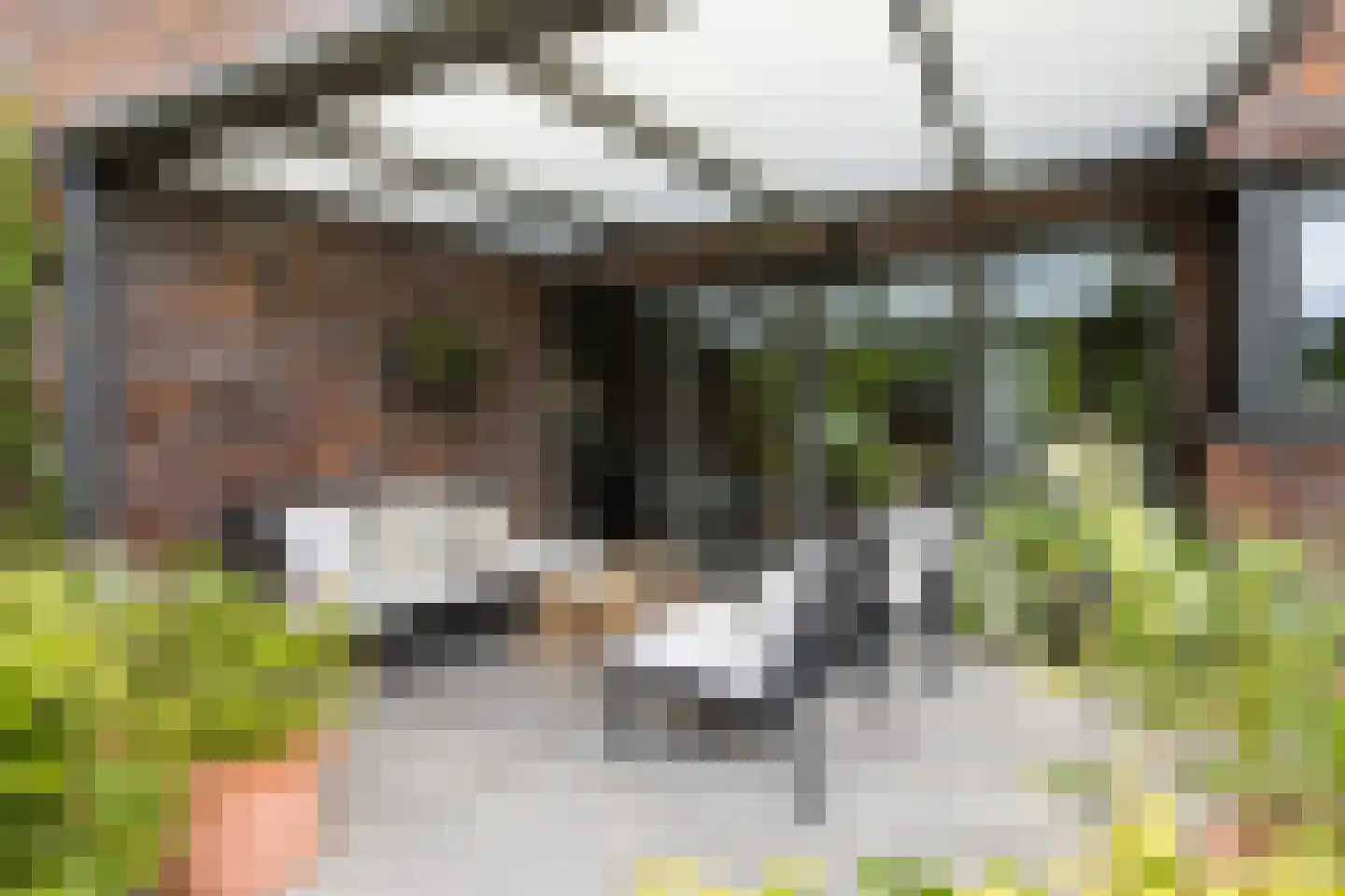 Waterwilg 8 Zevenbergen thumbnail 44