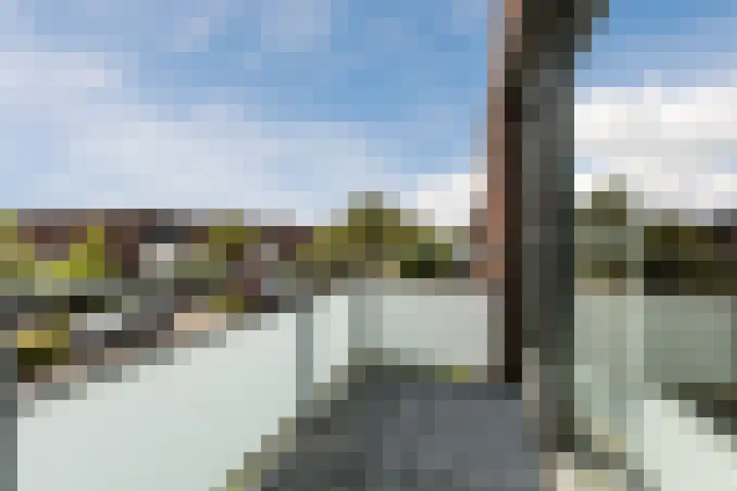 Waterwilg 8 Zevenbergen thumbnail 47