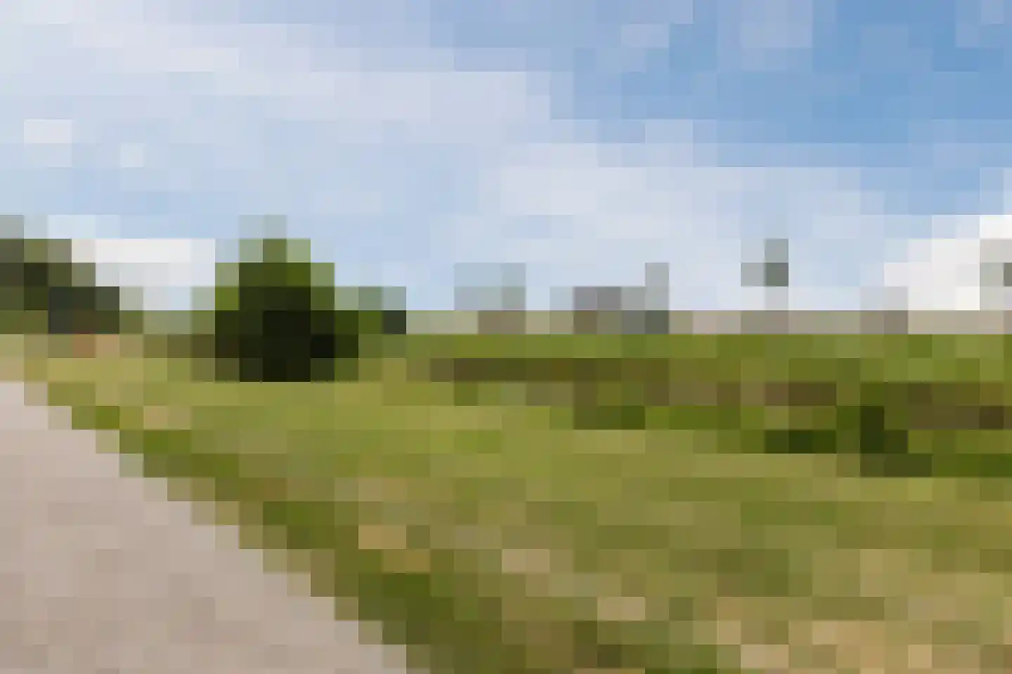 Waterwilg 8 Zevenbergen thumbnail 49