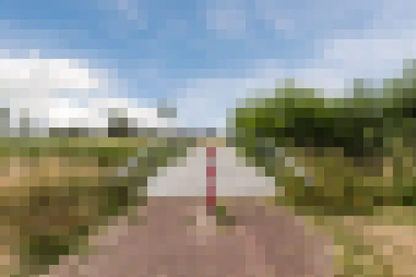 Waterwilg 8 Zevenbergen thumbnail 50
