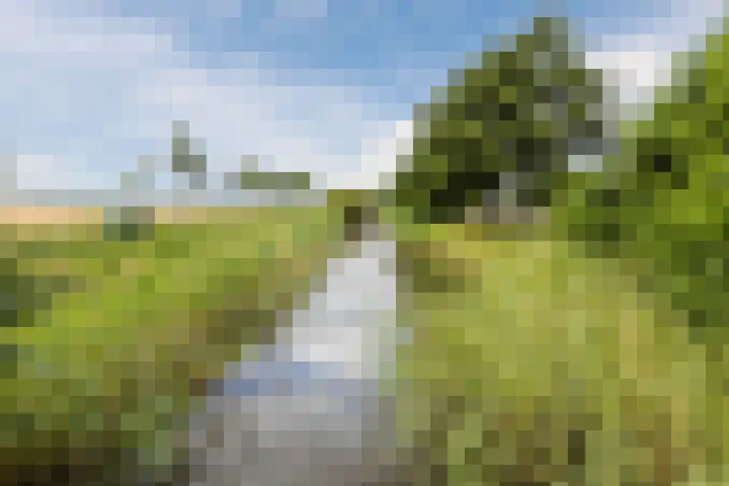 Waterwilg 8 Zevenbergen thumbnail 51