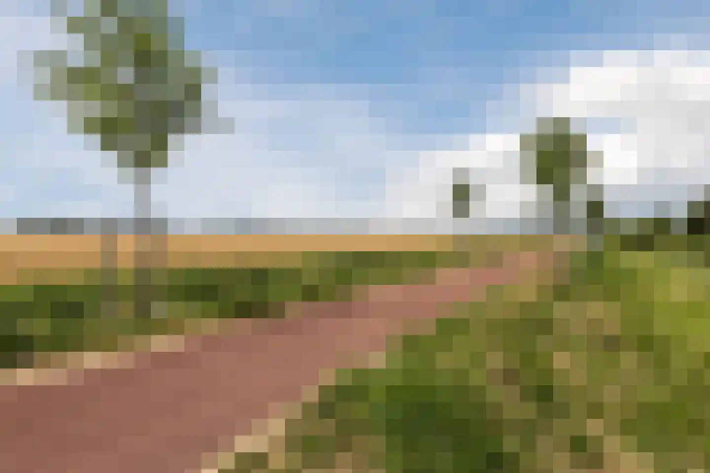 Waterwilg 8 Zevenbergen thumbnail 52