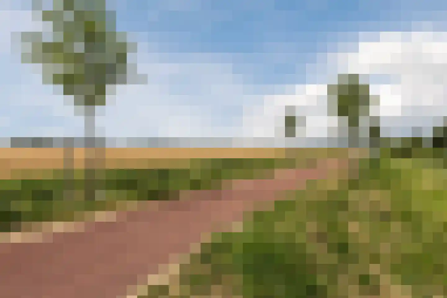 Waterwilg 8 Zevenbergen thumbnail 52