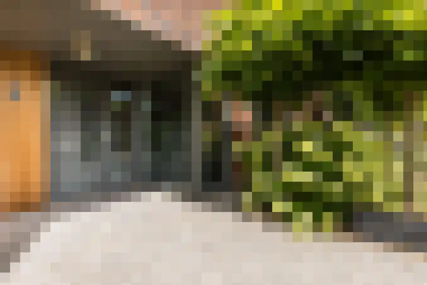 Waterwilg 8 Zevenbergen thumbnail 7