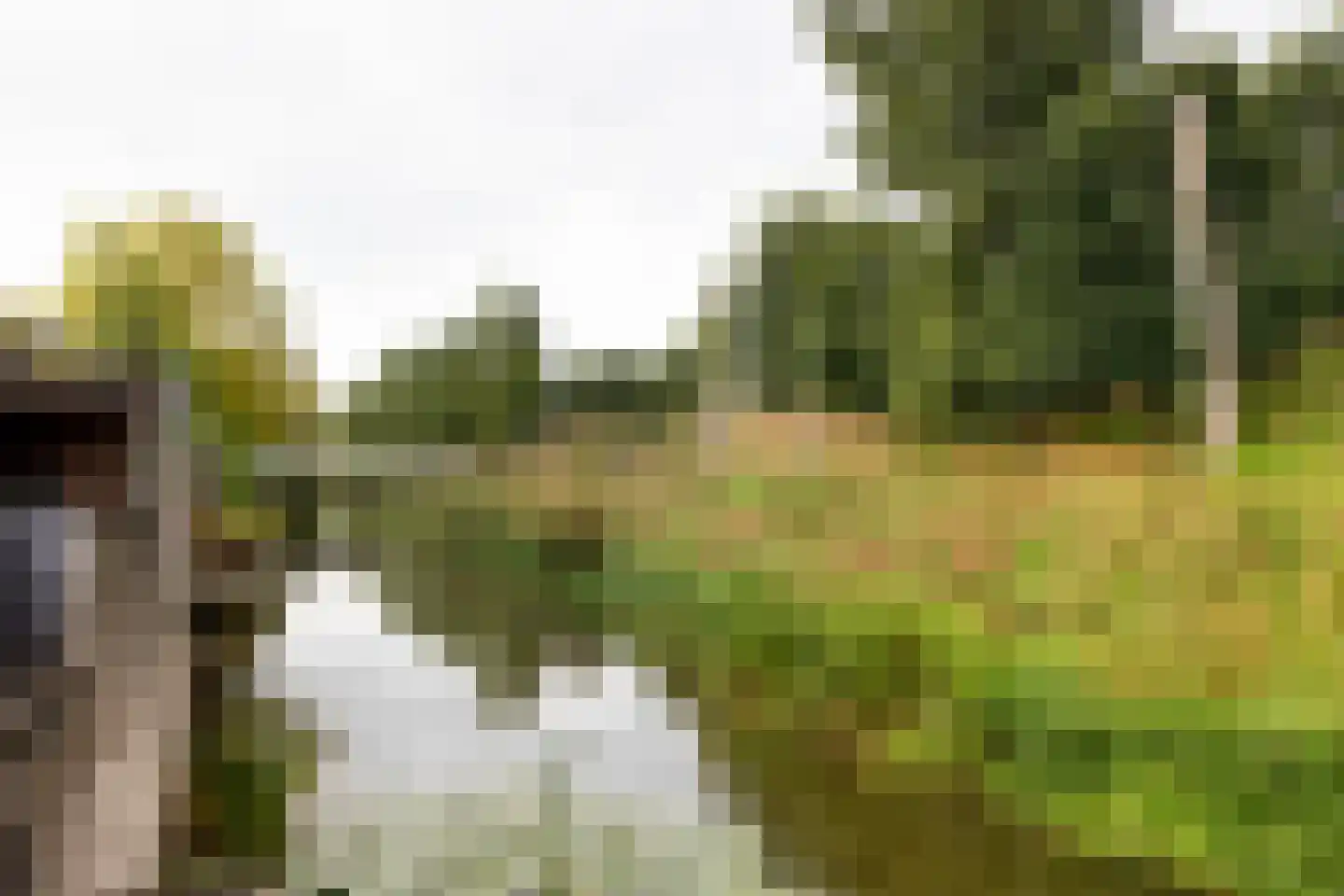 Waterwolf 18 Hoofddorp thumbnail 11
