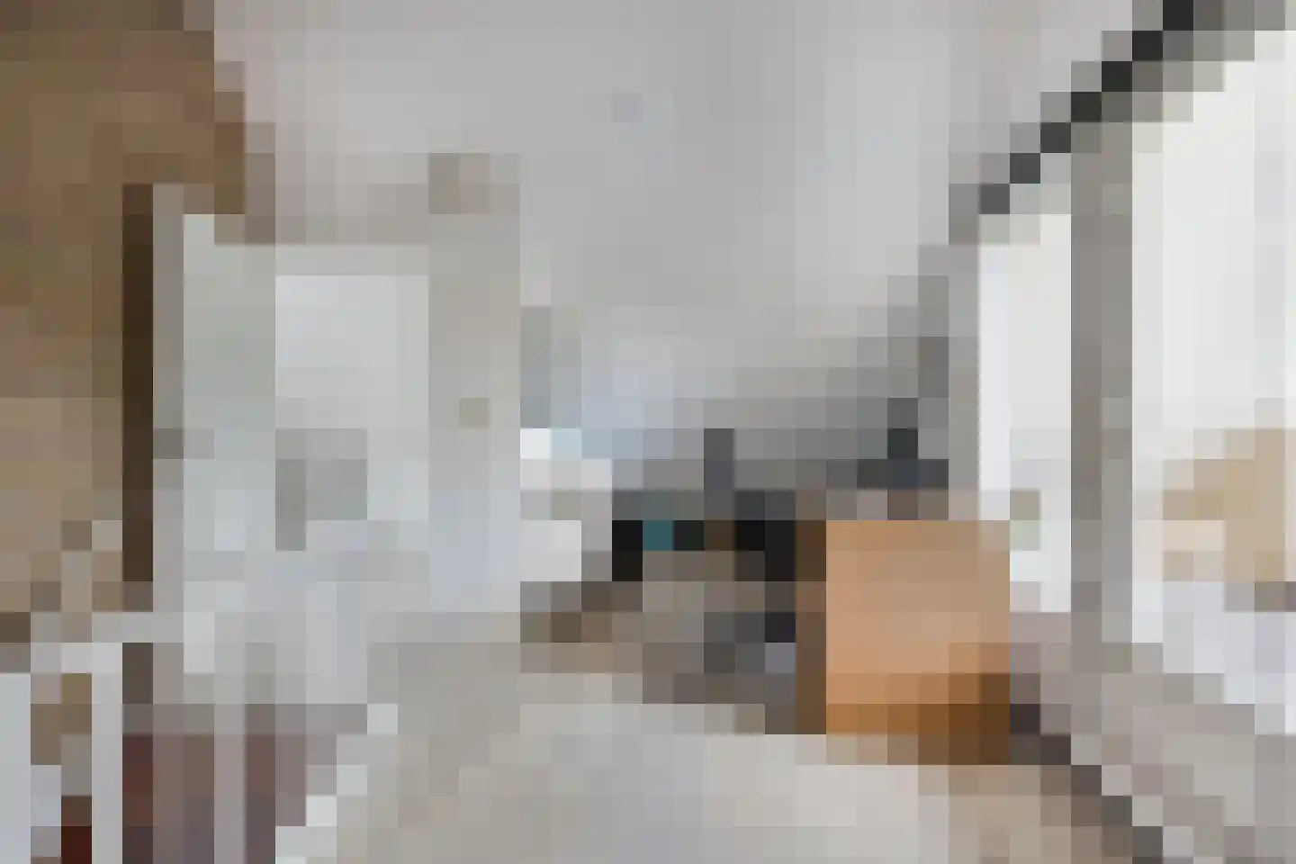Waterwolf 18 Hoofddorp thumbnail 22