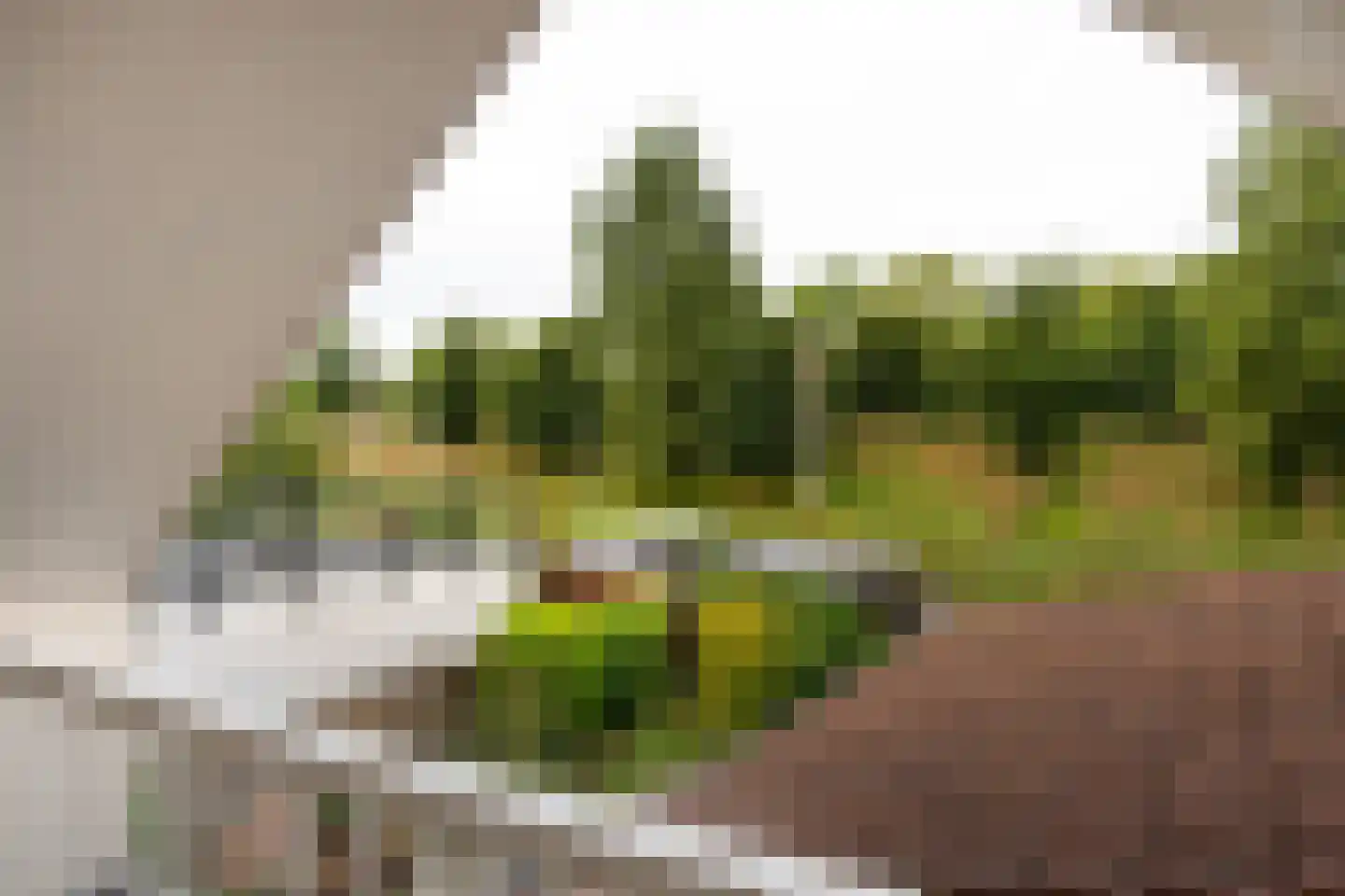 Waterwolf 18 Hoofddorp thumbnail 24