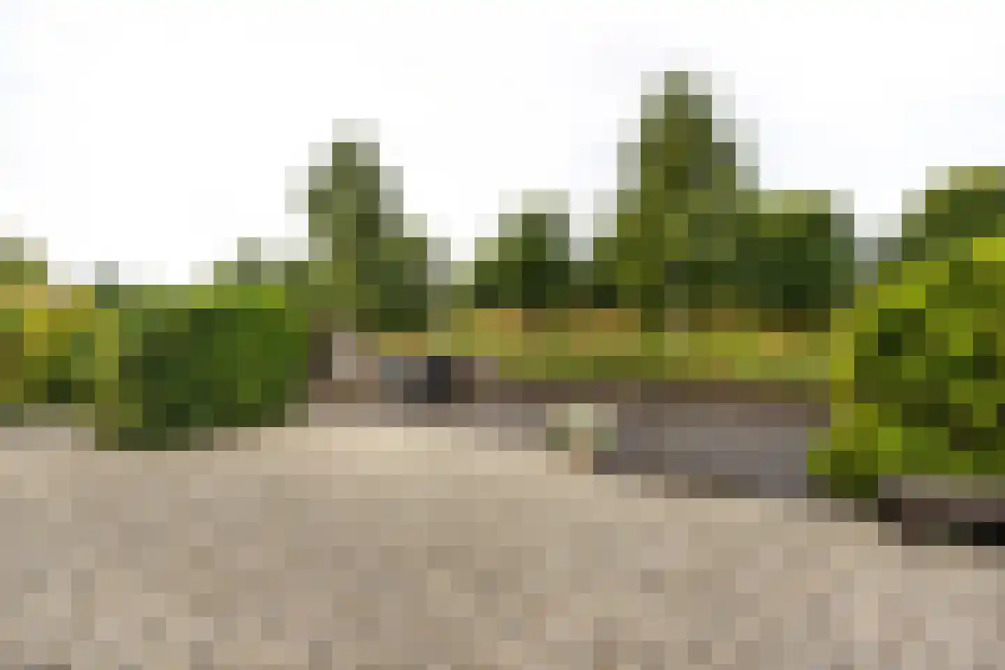 Waterwolf 18 Hoofddorp thumbnail 25