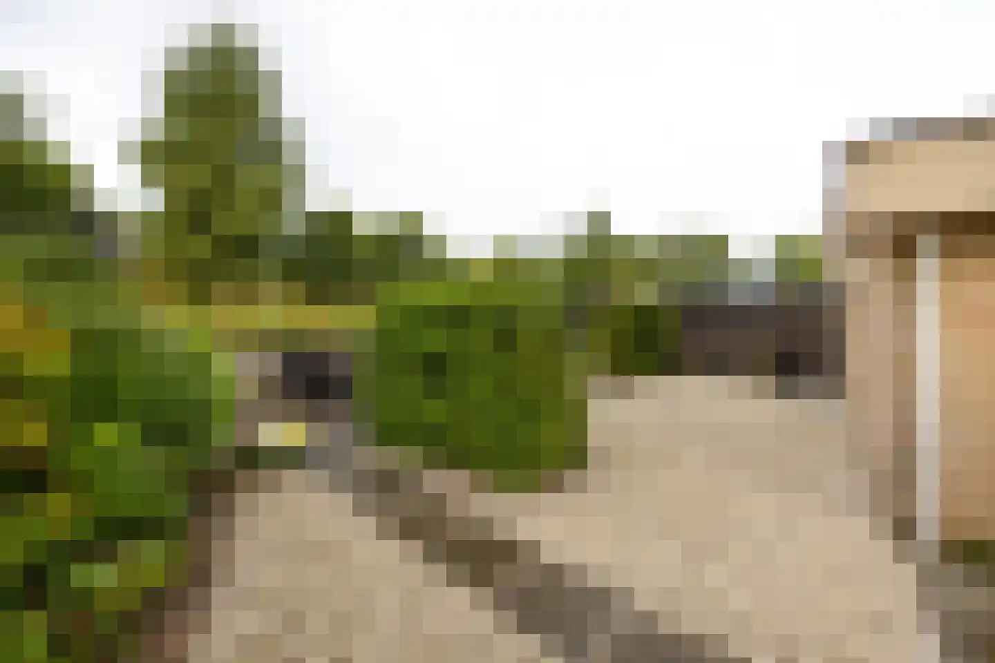 Waterwolf 18 Hoofddorp thumbnail 28