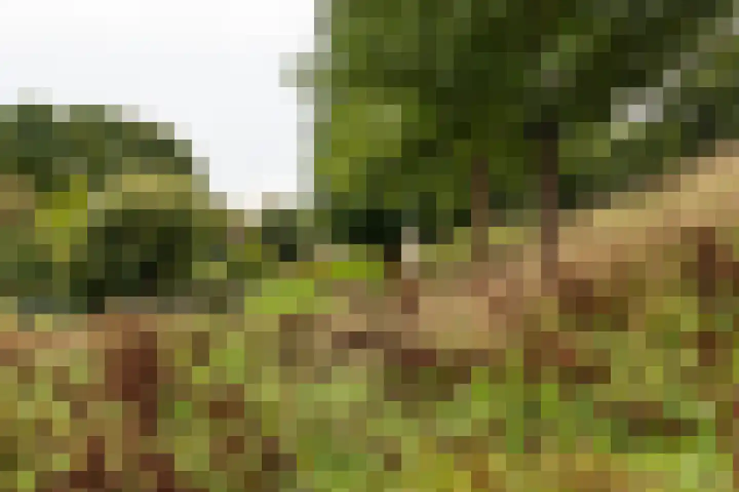Waterwolf 18 Hoofddorp thumbnail 31