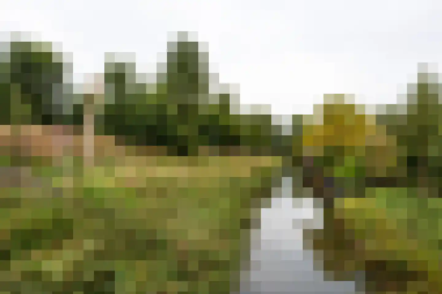 Waterwolf 18 Hoofddorp thumbnail 32