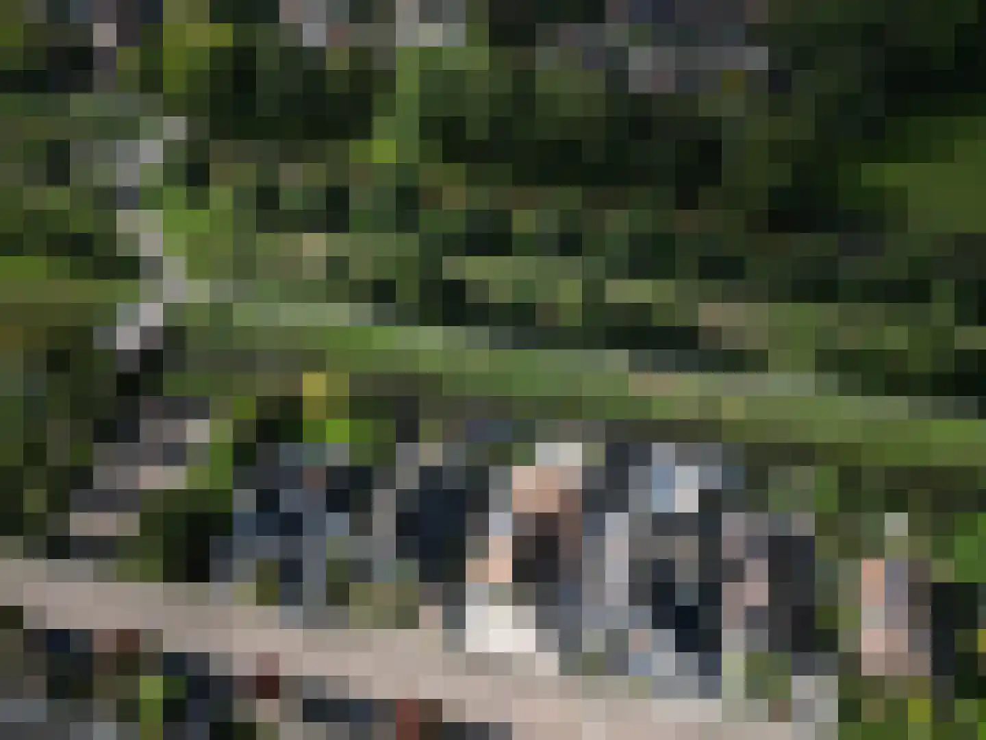 Waterwolf 18 Hoofddorp thumbnail 34