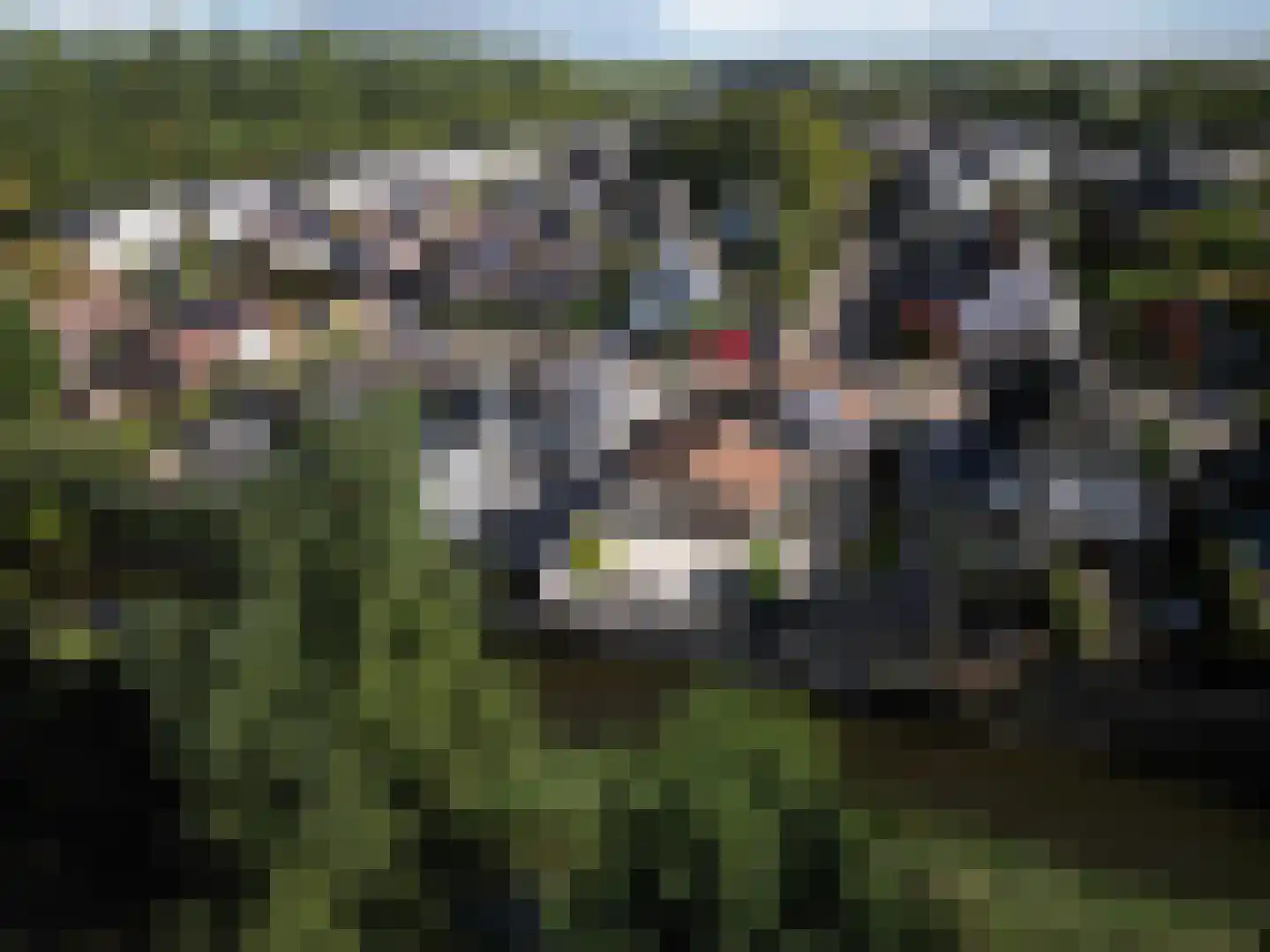 Waterwolf 18 Hoofddorp thumbnail 36