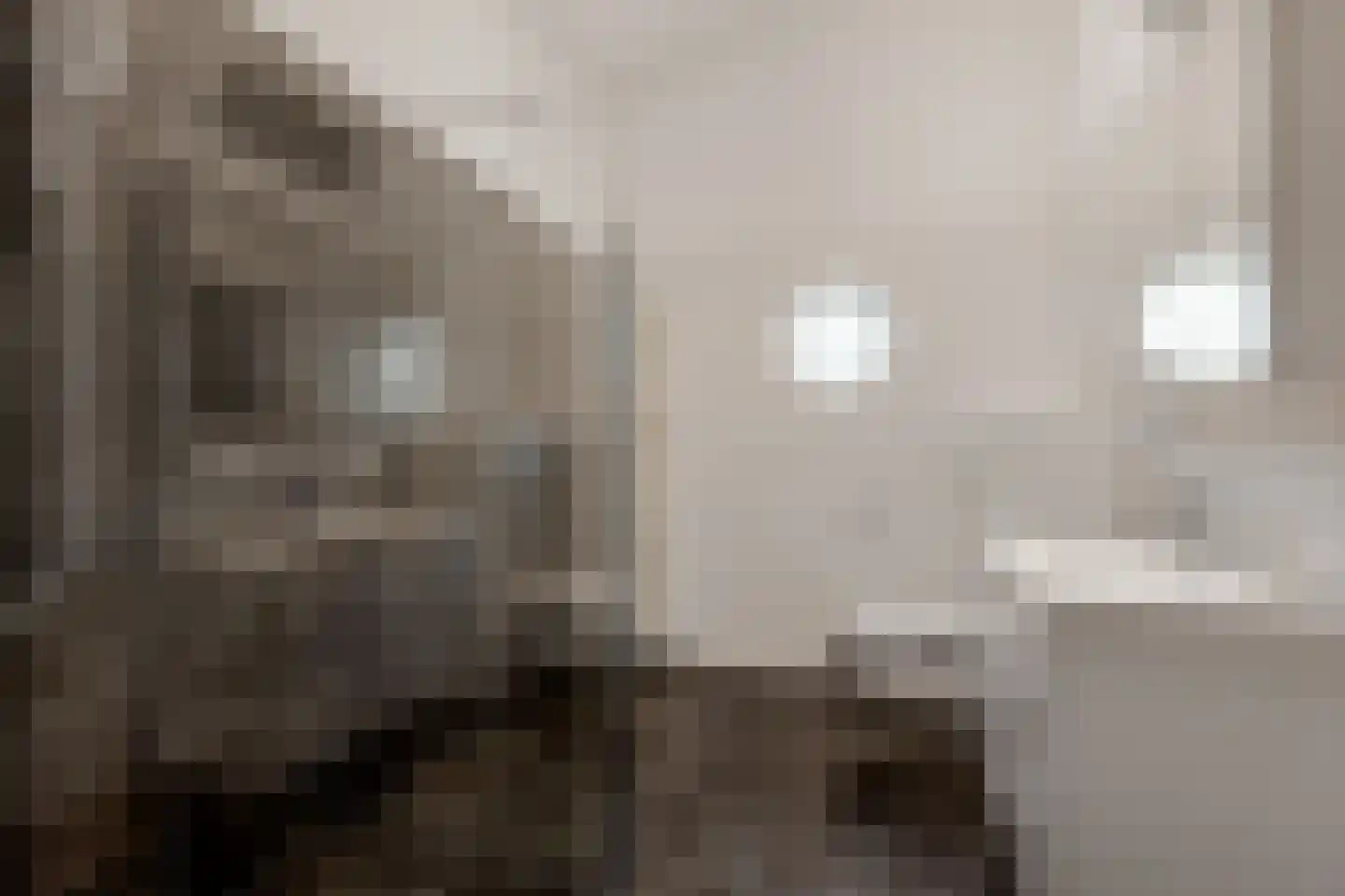 Waterwolf 18 Hoofddorp thumbnail 7