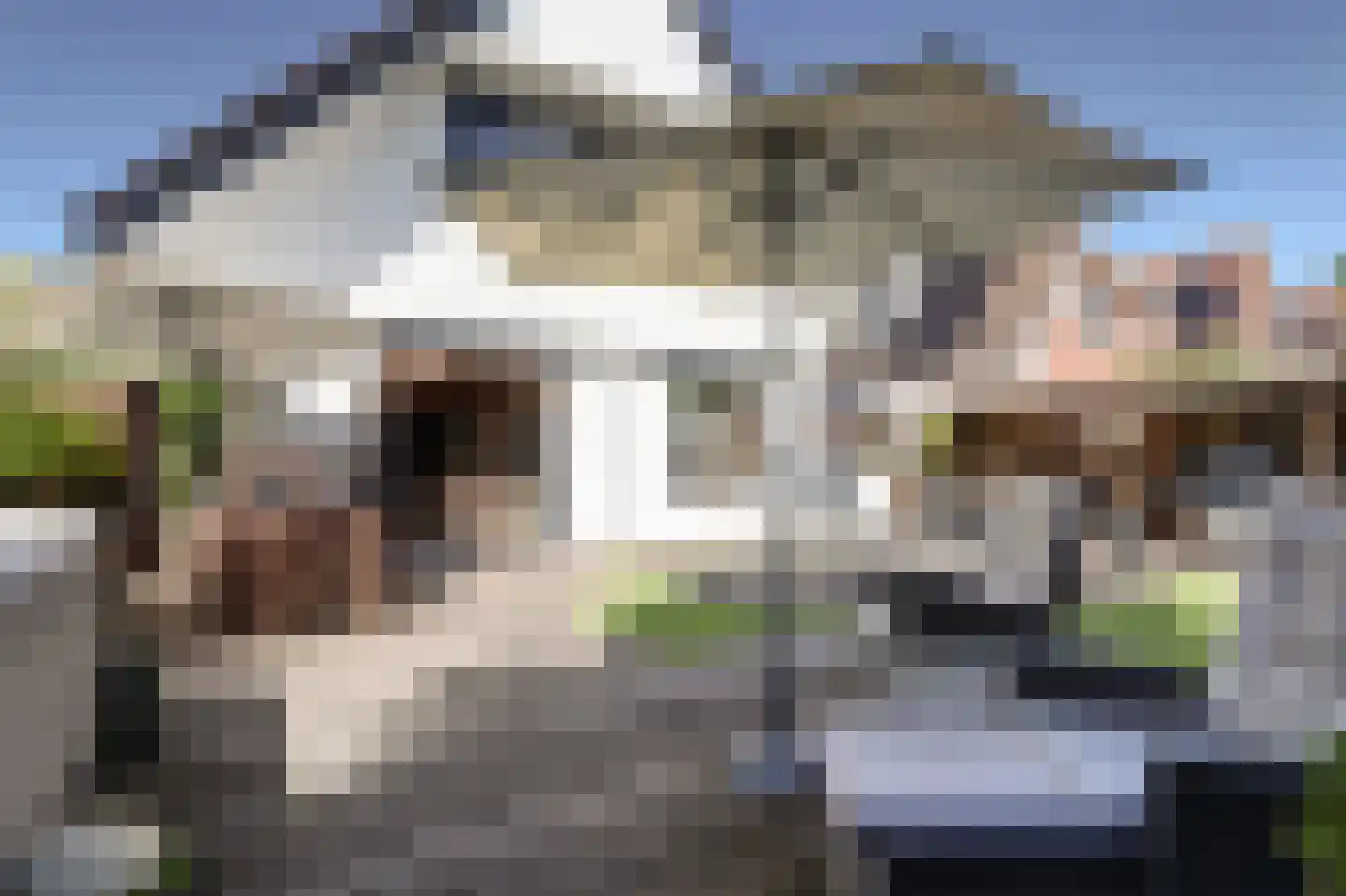 Waterwolf 31 Hoofddorp thumbnail 13