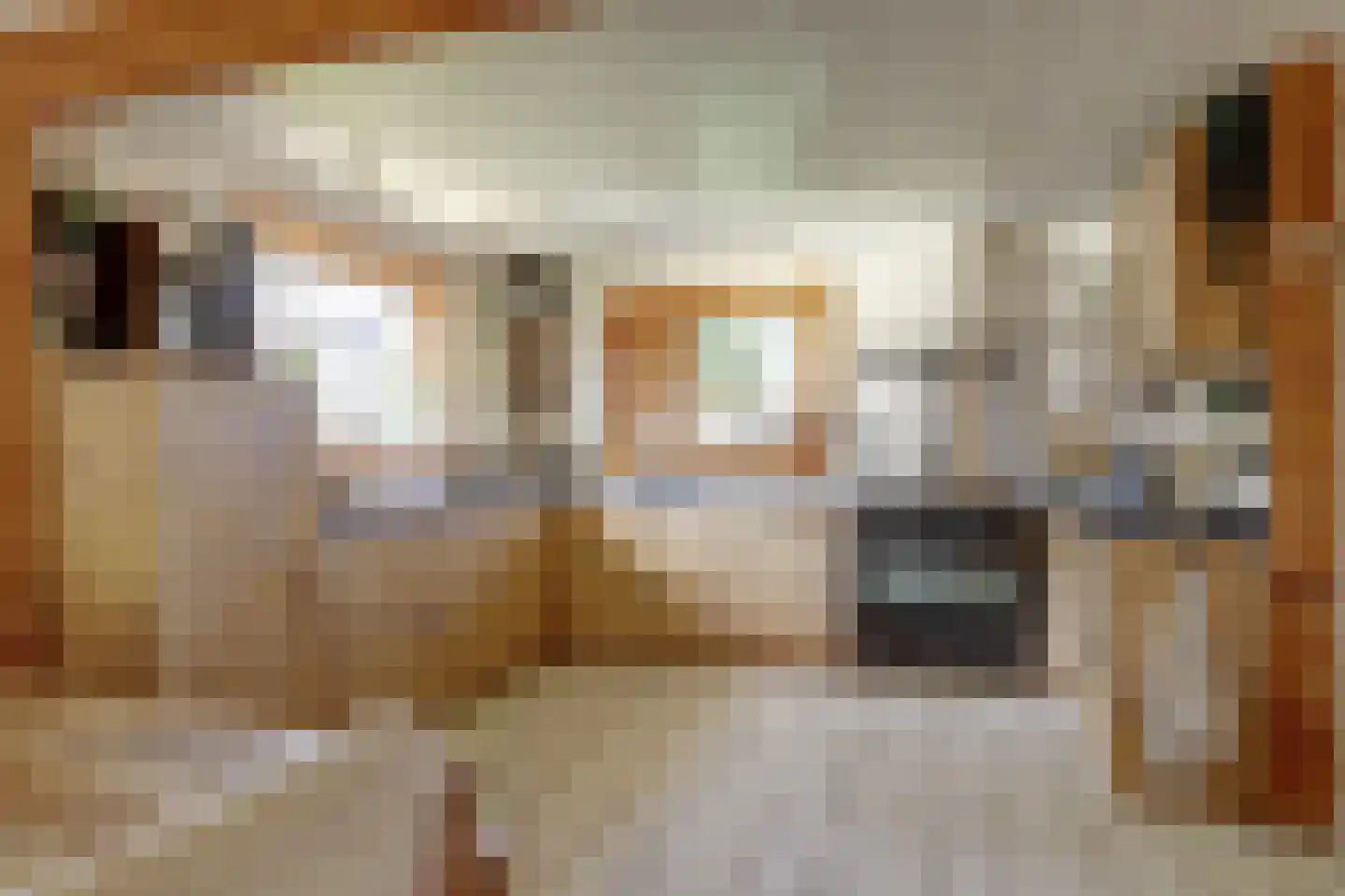Waterwolf 31 Hoofddorp thumbnail 15