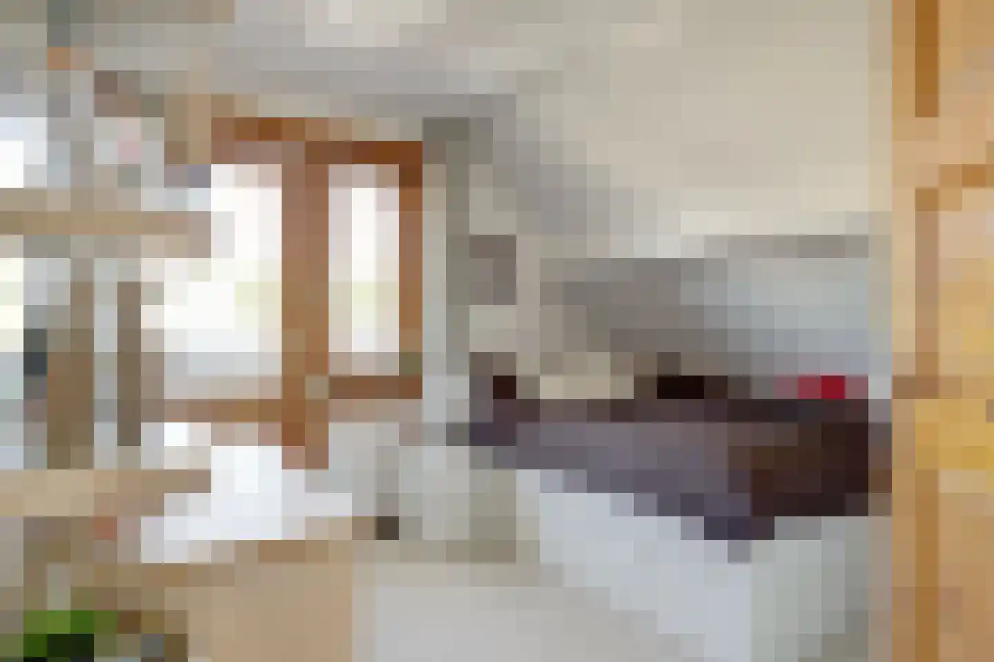 Waterwolf 31 Hoofddorp thumbnail 34