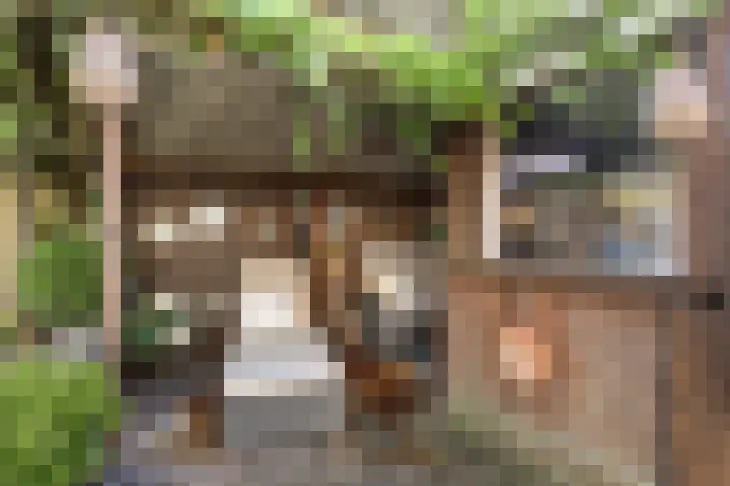 Waterwolf 31 Hoofddorp thumbnail 46