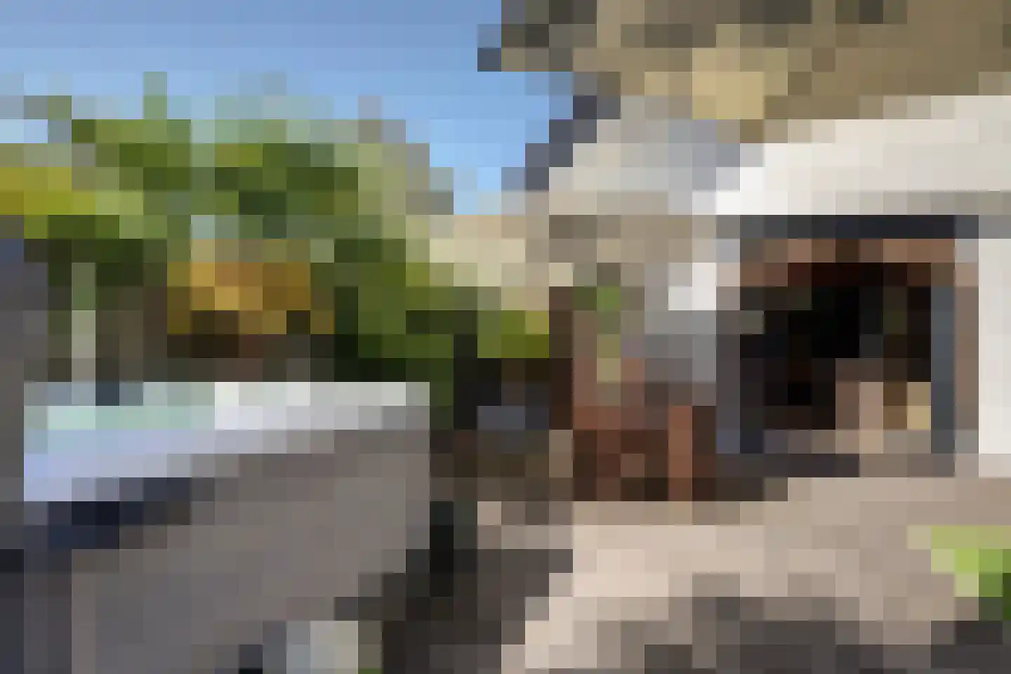 Waterwolf 31 Hoofddorp thumbnail 50