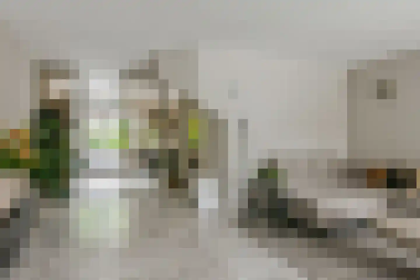 Waterwolf 71 Hoofddorp thumbnail 15