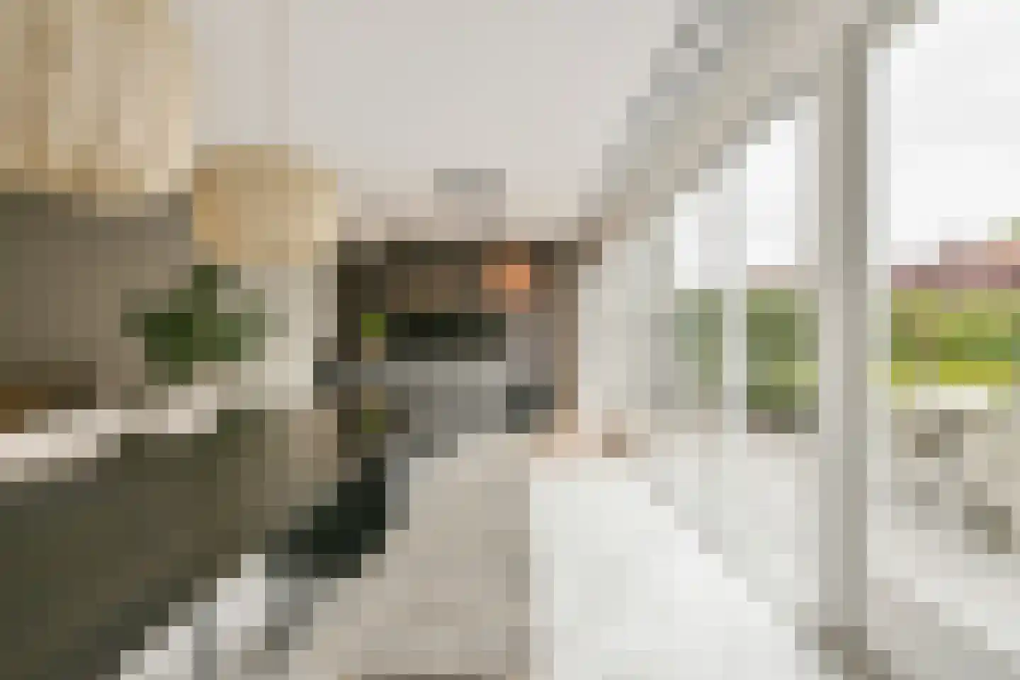 Waterwolf 71 Hoofddorp thumbnail 21