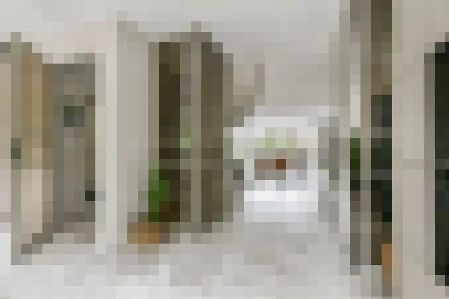 Waterwolf 71 Hoofddorp thumbnail 28