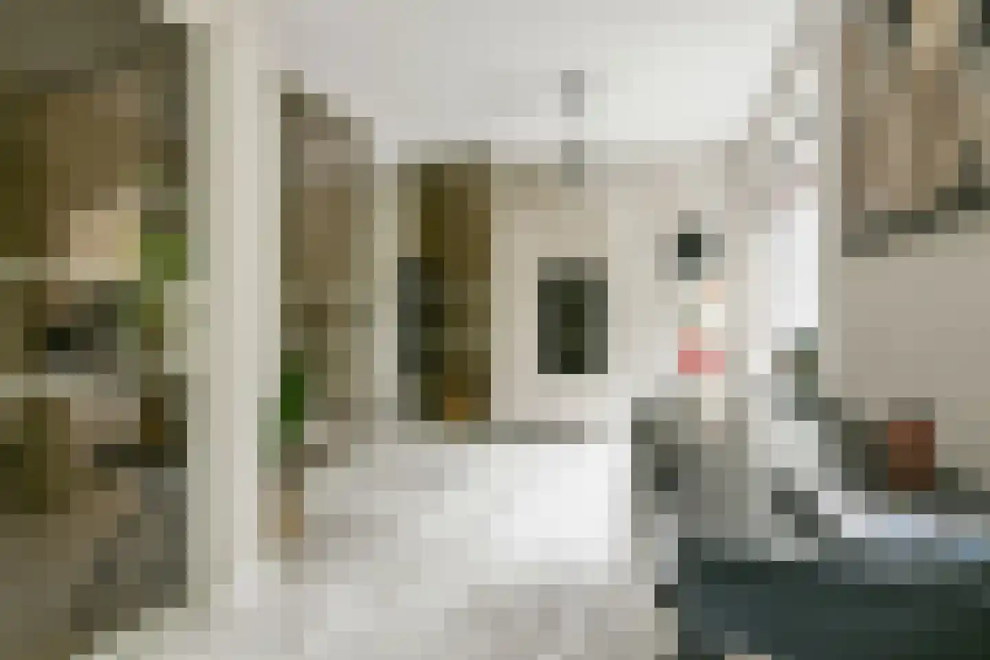 Waterwolf 71 Hoofddorp thumbnail 29