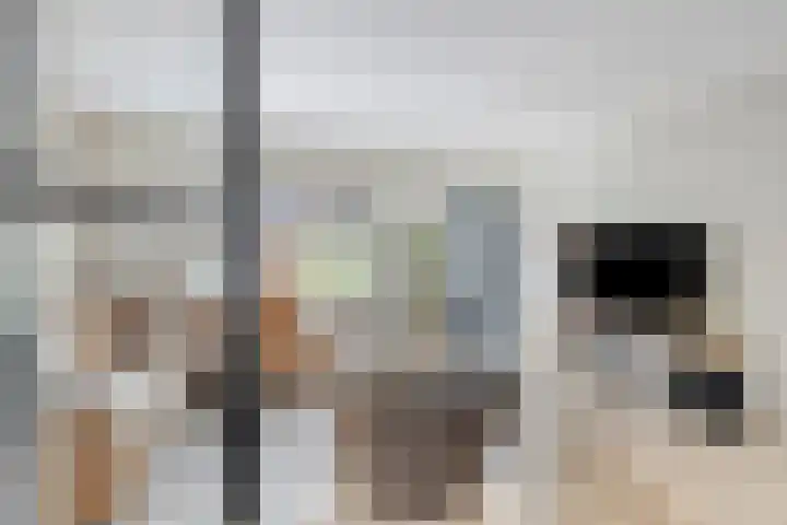 Waterzwaluw 3 Veenendaal thumbnail 10