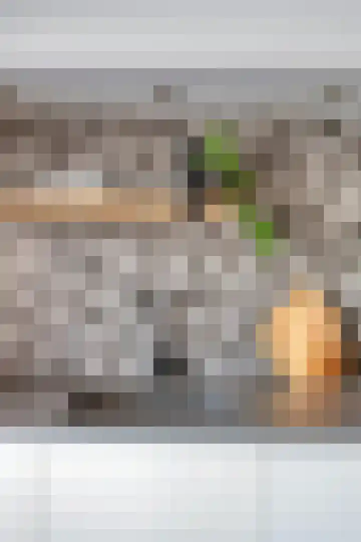 Waterzwaluw 3 Veenendaal thumbnail 14