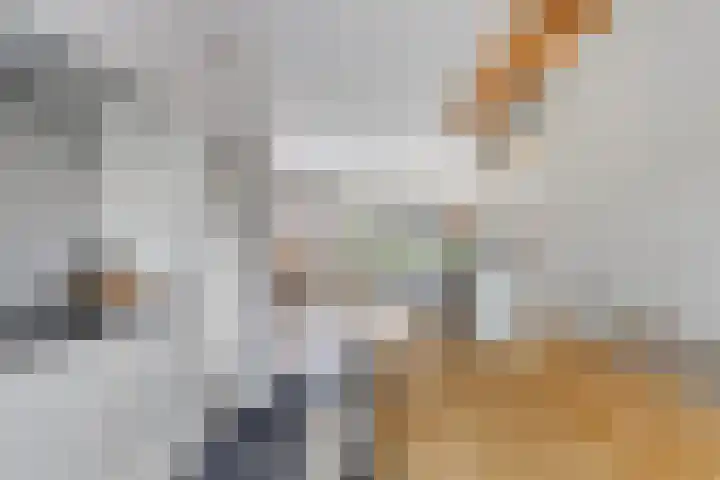 Waterzwaluw 3 Veenendaal thumbnail 15