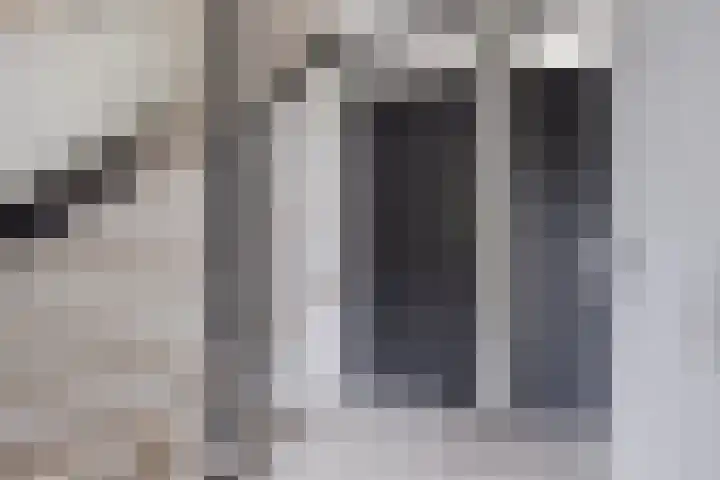 Waterzwaluw 3 Veenendaal thumbnail 18