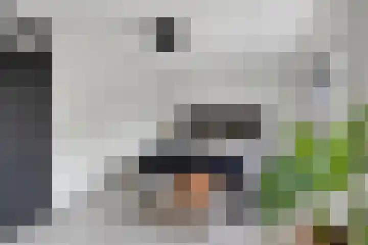 Waterzwaluw 3 Veenendaal thumbnail 19