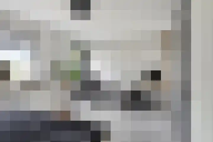 Waterzwaluw 3 Veenendaal thumbnail 20