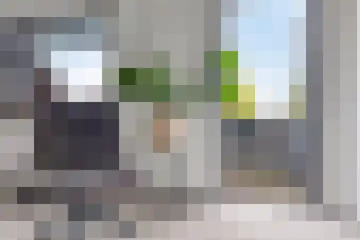 Waterzwaluw 3 Veenendaal thumbnail 21