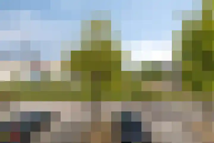 Waterzwaluw 3 Veenendaal thumbnail 22
