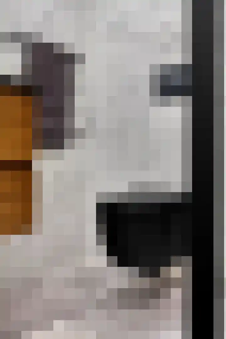 Waterzwaluw 3 Veenendaal thumbnail 24