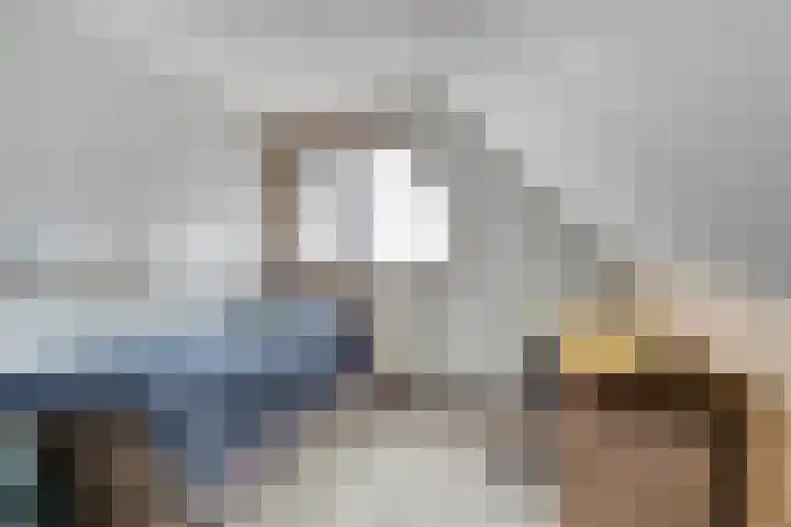 Waterzwaluw 3 Veenendaal thumbnail 27